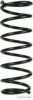 MAGNETI MARELLI 600000135600 Coil Spring